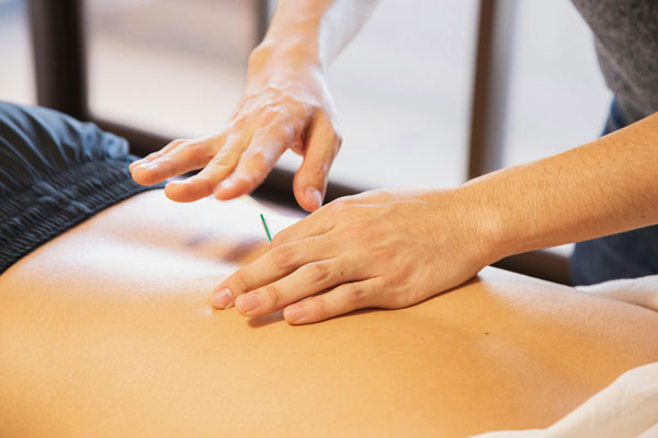 holistic health