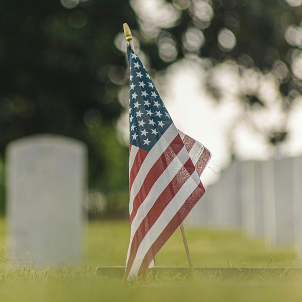 veterans day