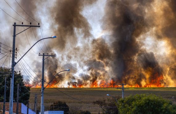 wildfire