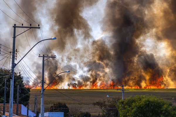 wildfire